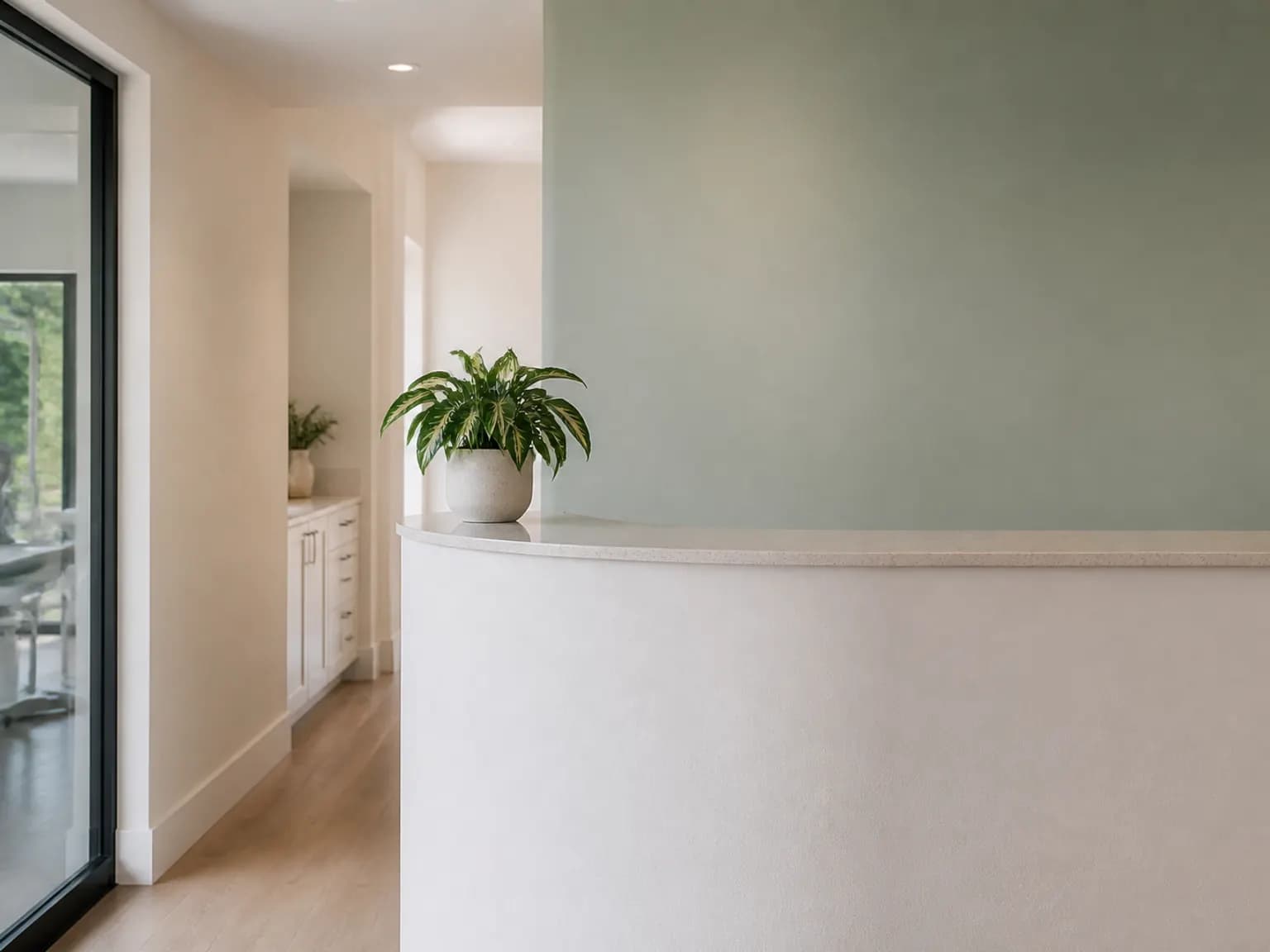 Clinic reception counter with a curved front, pale mint wall, and a small plant in soft daylight.
