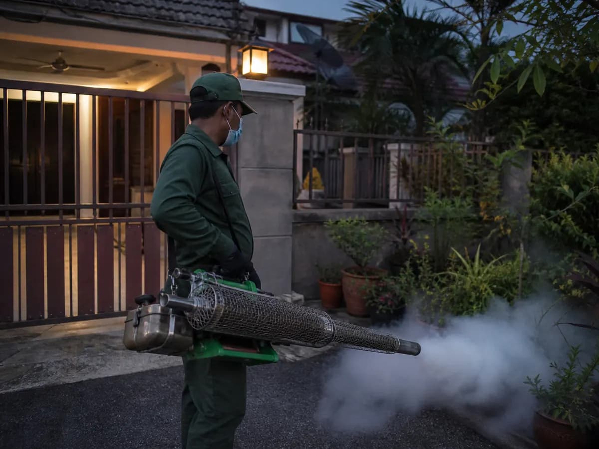 Technician thermal fogging the garden of a terrace house at dusk.